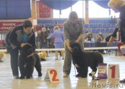 Превью фото № 149064