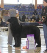 Превью фото № 149069