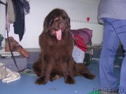 Превью фото № 149180