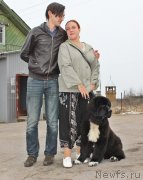 Превью фото № 149211