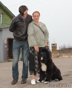 Превью фото № 149213