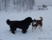 Превью фото № 149280