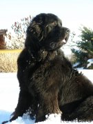 Превью фото № 149343