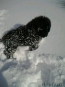 Превью фото № 149350