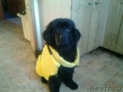 Превью фото № 149406