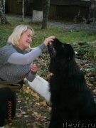 Превью фото № 149464