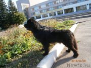 Превью фото № 149466