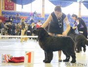 Превью фото № 149494