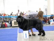 Превью фото № 149526