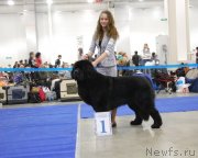 Превью фото № 149527