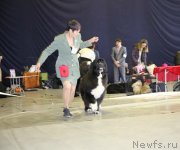 Превью фото № 149632