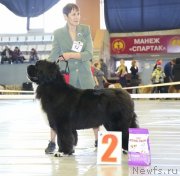 Превью фото № 149633