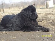 Превью фото № 149654