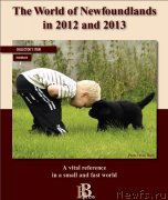 Превью фото № 149655