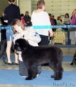 Превью фото № 149671