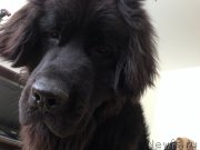 Превью фото № 149680