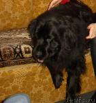 Превью фото № 14974