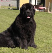 Превью фото № 149750