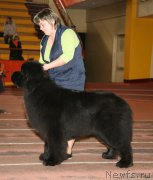 Превью фото № 149795