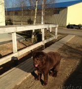 Превью фото № 149851