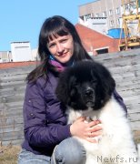 Превью фото № 149874