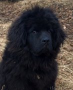 Превью фото № 149931