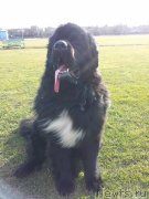 Превью фото № 149946