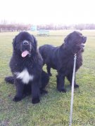 Превью фото № 149947