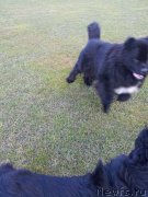 Превью фото № 149951