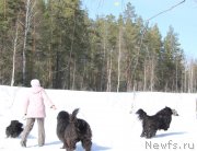 Превью фото № 150080