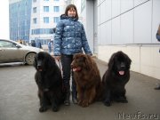 Превью фото № 150097