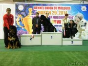 Превью фото № 150141