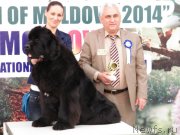 Превью фото № 150143