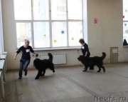 Превью фото № 150181