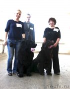 Превью фото № 150182