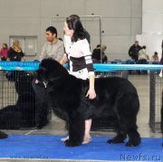 Превью фото № 150187