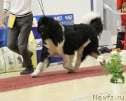 Превью фото № 150198