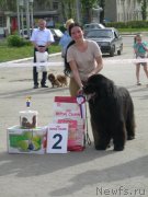 Превью фото № 150204