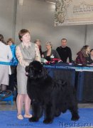 Превью фото № 150256