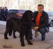 Превью фото № 150390