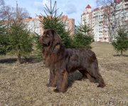 Превью фото № 150400