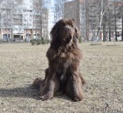 Превью фото № 150402