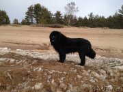 Превью фото № 150410