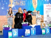 Превью фото № 150599