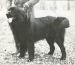 Превью фото № 1506