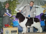 Превью фото № 150616