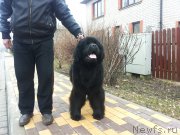 Превью фото № 150640