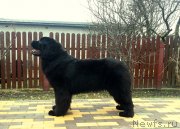 Превью фото № 150641