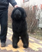 Превью фото № 150642