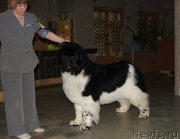 Превью фото № 150645